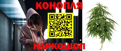 PSILOCYBIN Туймазы